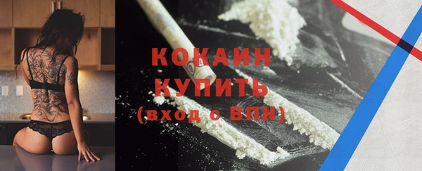 стаф Абинск