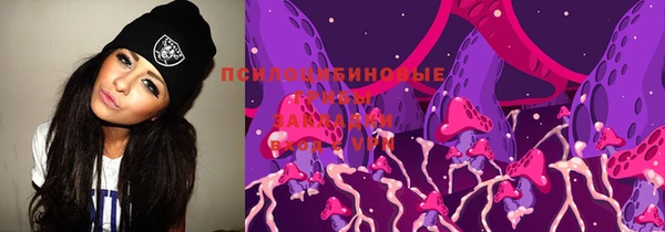 стаф Абинск