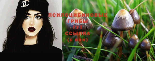 кокс Абдулино