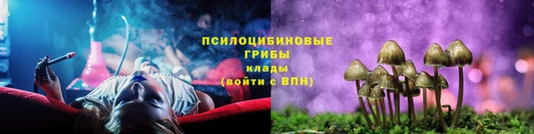 сатива Заволжск