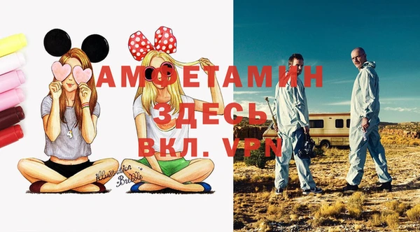 стаф Абинск