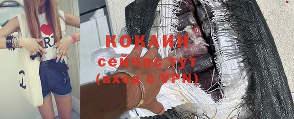 стаф Абинск