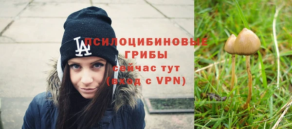 кокс Абдулино
