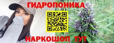 амф Обнинск