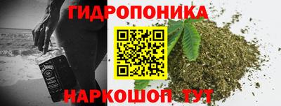 прущие грибы Нягань