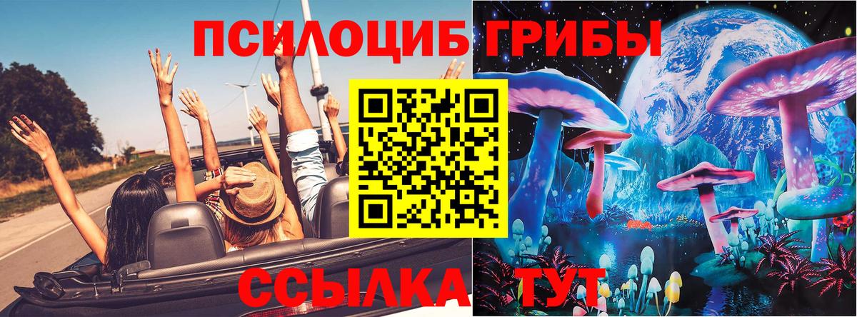 хочу наркоту  Галлюциногенные грибы ЛСД  Вход с VPN  Тихорецк 